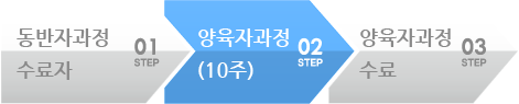 일대일제자양육 과정