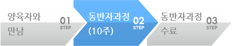 일대일제자양육 과정